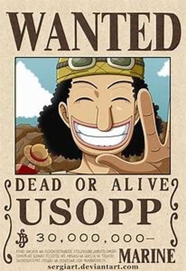 La Caverne du Gamer - 9 Posters Wanted Equipage One Piece